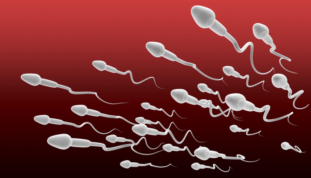 факты о сперме