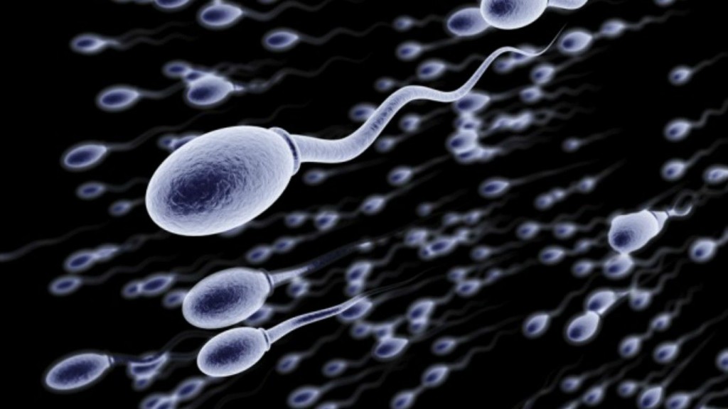 качество спермы